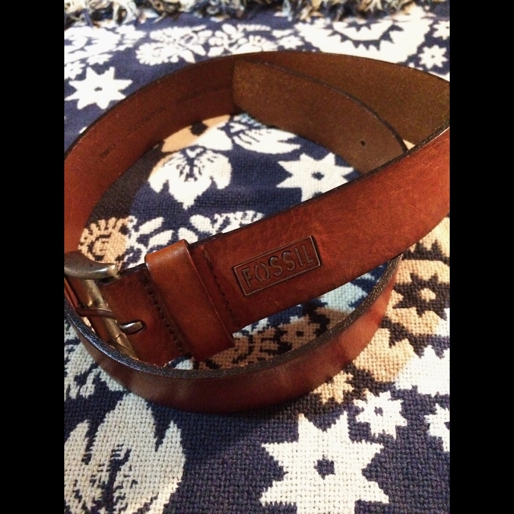 🌞 fossil belt 🌙
